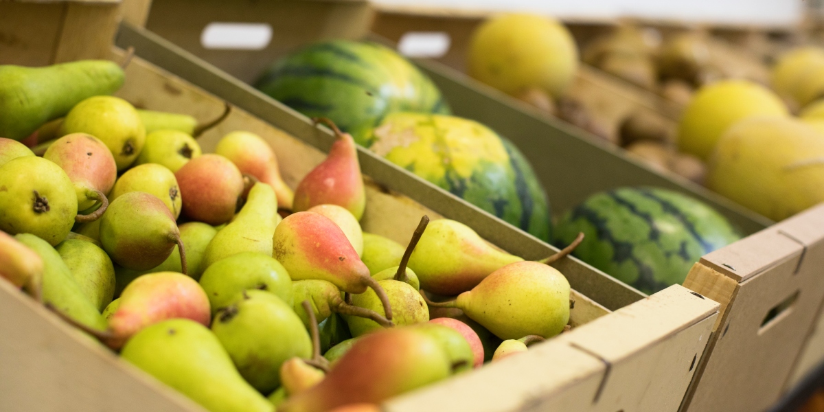 transporte-alimentos.jpg