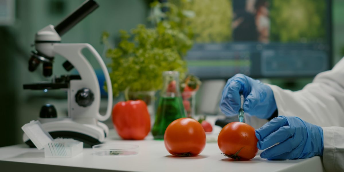 close-de-um-cientista-quimico-injetando-tomate-organico-com-pesticidas-para-teste-de-ogm-2-1200x600.jpg