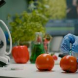 dia-seguranca-alimentar